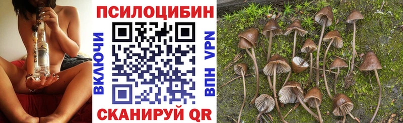 купить  цена  Сатка  Псилоцибиновые грибы прущие грибы 