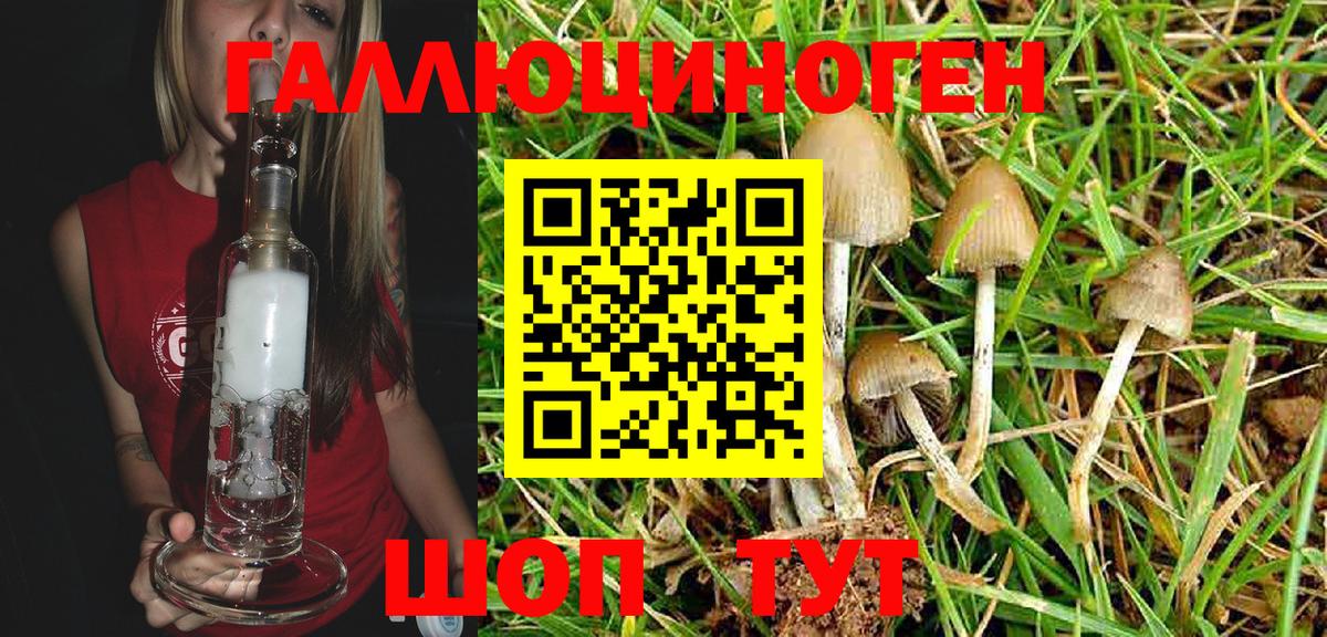 Псилоцибиновые грибы Psilocybe Сатка