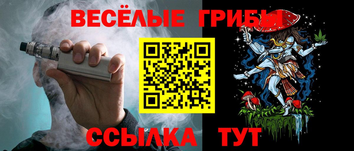 Сатка  Галлюциногенные грибы прущие грибы  Вход с VPN 
